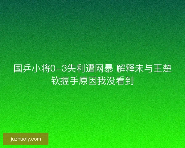 国乒小将0-3失利遭网暴 解释未与王楚钦握手原因我没看到