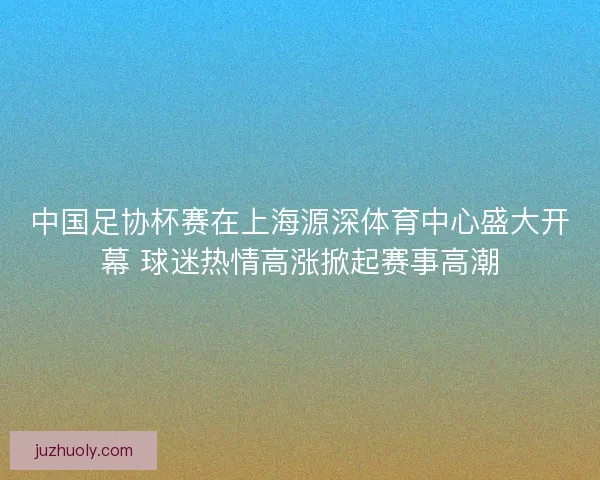 中国足协杯赛在上海源深体育中心盛大开幕 球迷热情高涨掀起赛事高潮
